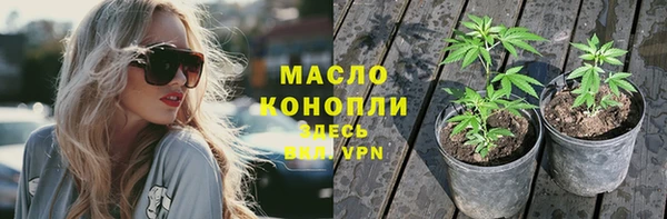первитин Богданович