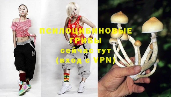 Альфа ПВП Богородицк