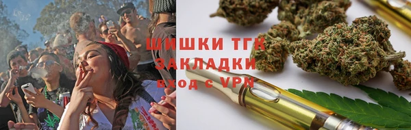 mdpv Богородск