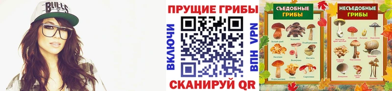Купить закладки  Усть-Илимск  Галлюциногенные грибы мухоморы 
