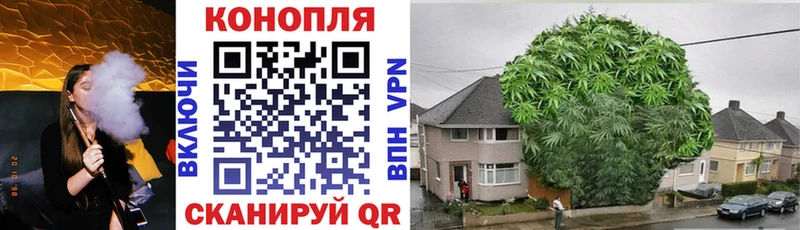Купить закладки  Усть-Илимск  Бошки марихуана Bruce Banner 
